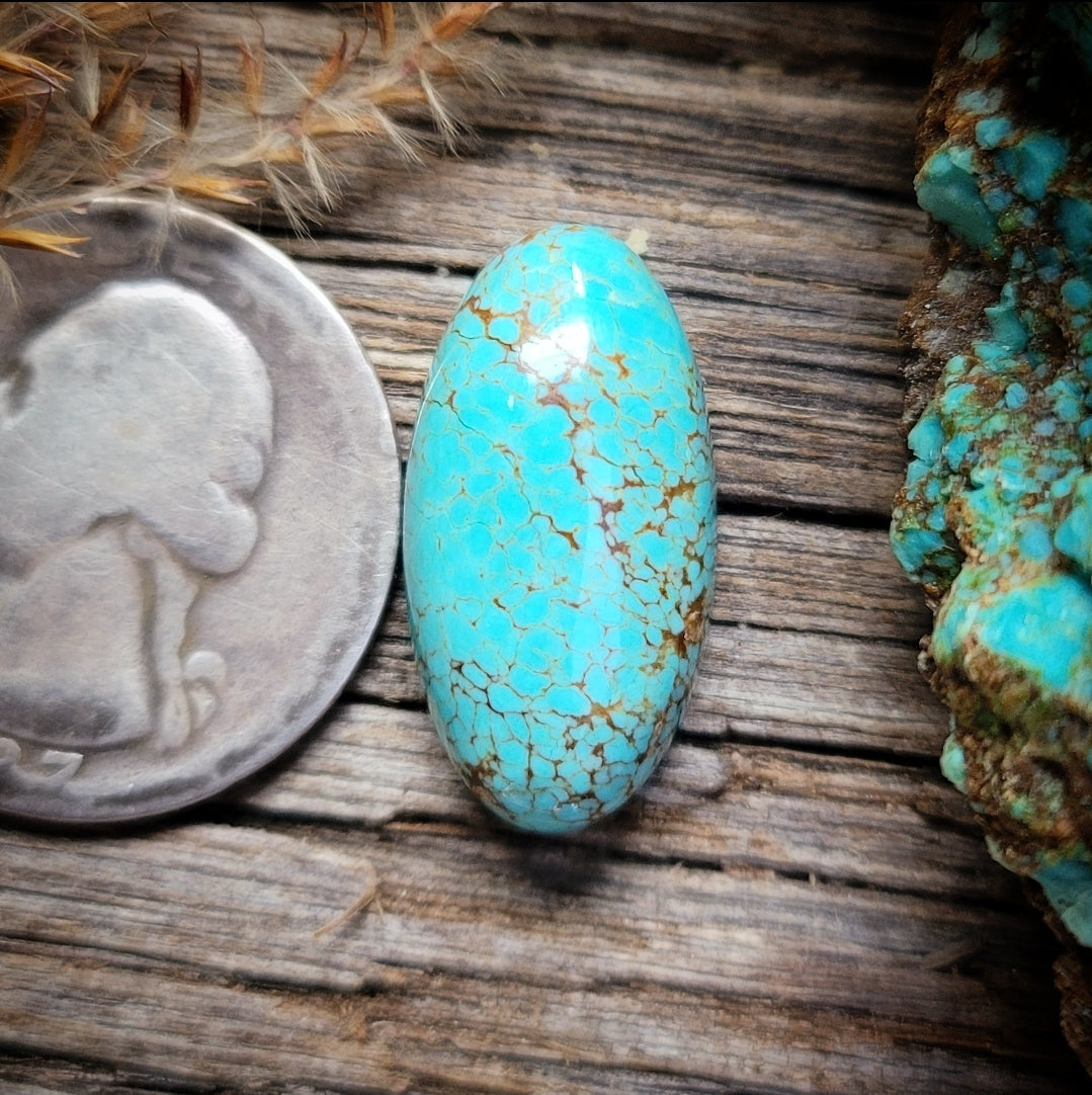 #8 Turquoise Oval 22x12mm Cab | Turquoise Obsession