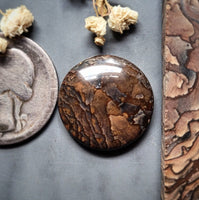 Deschutes Jasper Round Cabochon