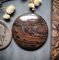 Deschutes Jasper Round Cabochon