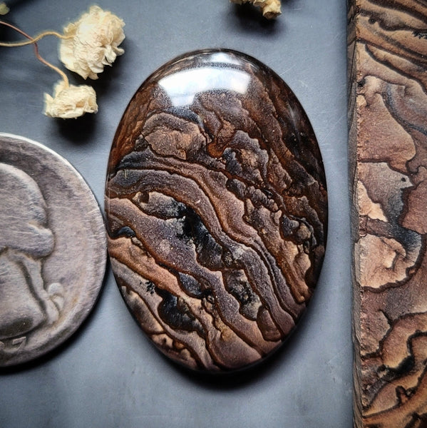 Deschutes Jasper Oval Cabochon