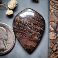 Deschutes Jasper Drop Cabochon