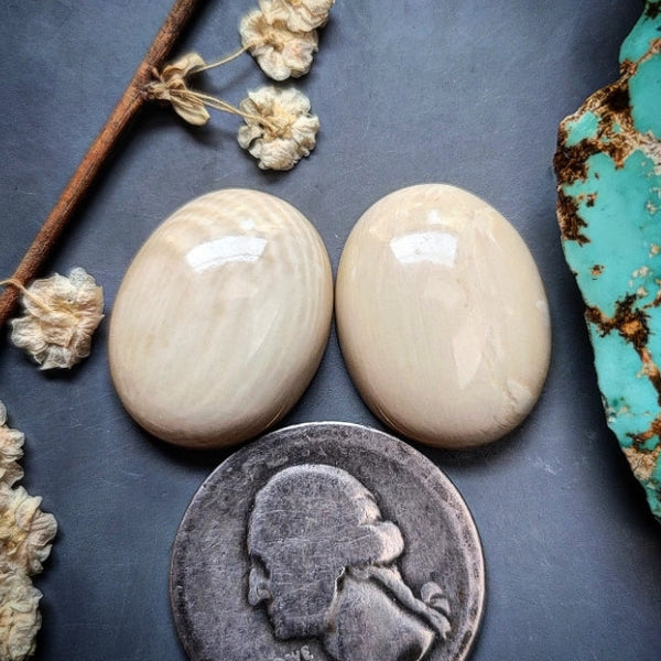 Alaskan WMT Oval Set Cabochon