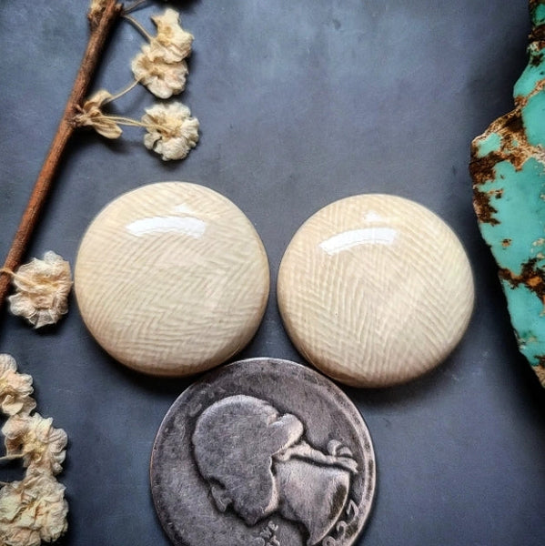 Alaskan WMT Round Set Cabochon