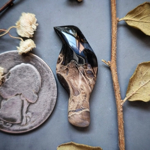 Palm Root Magpie Cabochon