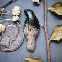 Palm Root Magpie Cabochon