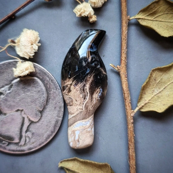 Palm Root Magpie Cabochon