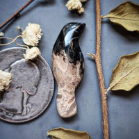 Palm Root Magpie Cabochon