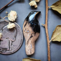 Palm Root Magpie Cabochon