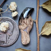 Palm Root Magpie Cabochon