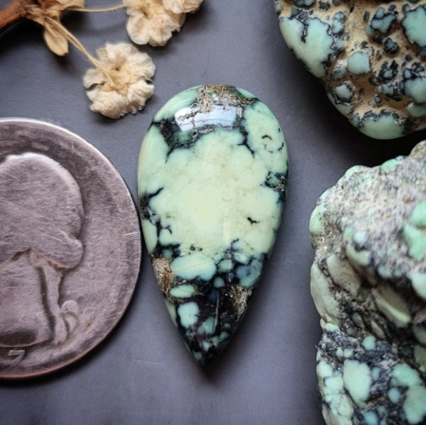 Angel Wing Variscite Cabochon