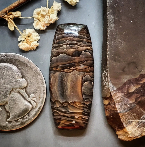 Biggs Jasper Bar Cabochon