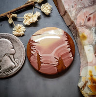 Red Falcon Jasper Round Cabochon