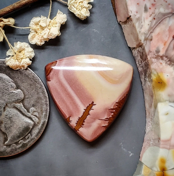 Red Falcon Jasper Trillion Cabochon