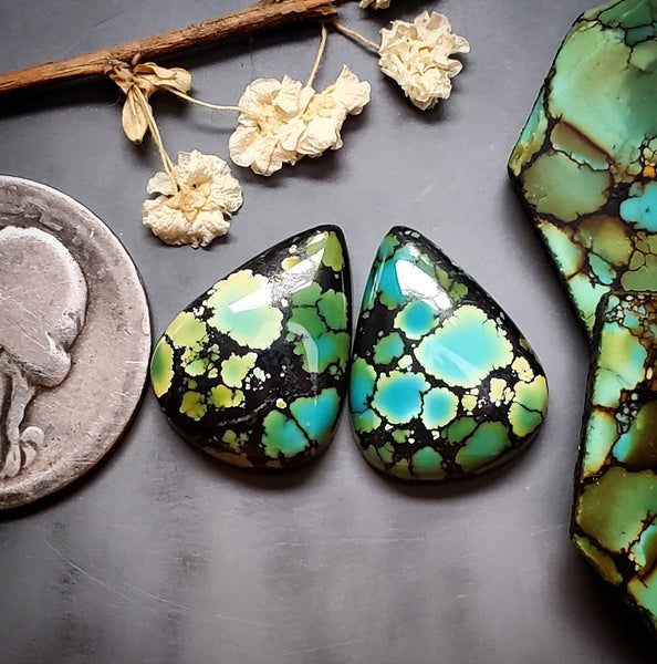 Qingu Polychrome Oval Earring Pair Cabochon