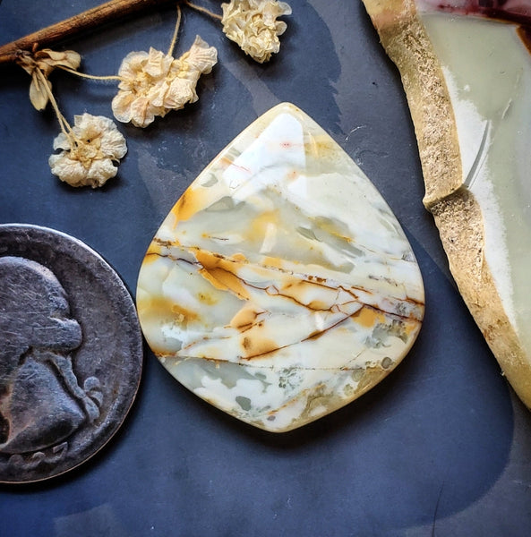 Williow Creek Jasper Drop Cabochon