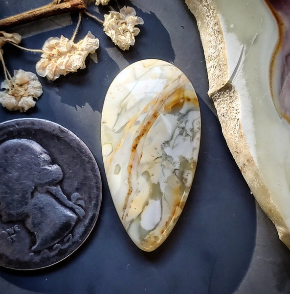 Williow Creek Jasper Drop Cabochon