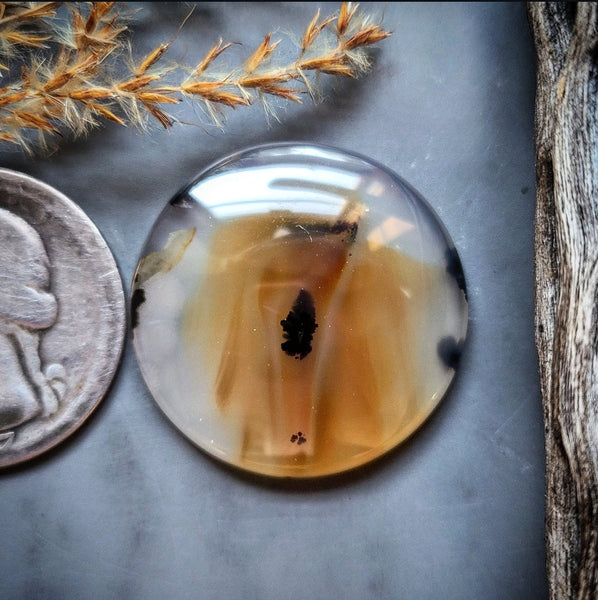 Montana Agate Round Cabochon