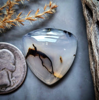 Montana Agate Trillion Cabochon