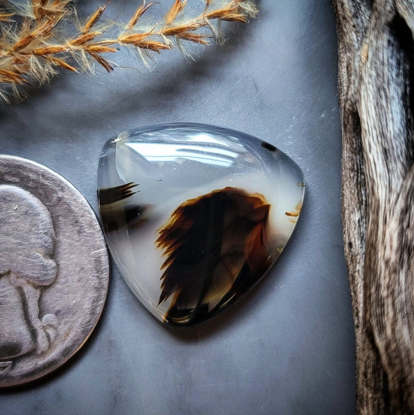 Montana Agate Trillion Cabochon