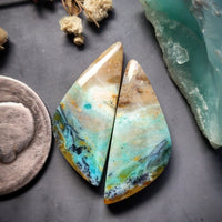 Opalized Wood Freeform Earring Pair Cabochon