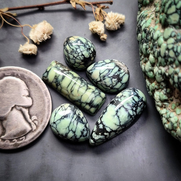 New Lander Variscite Mixed Set Cabochon