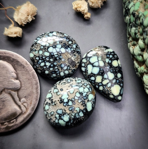 Angel Wing Variscite Mixed Set Cabochon