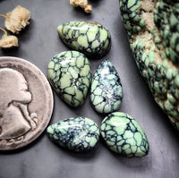 Colina Verde Variscite Mixed Set Cabochon