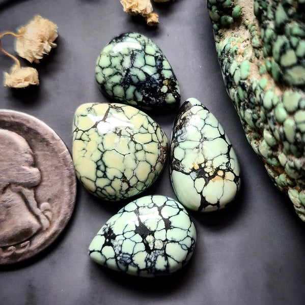 Colina Verde Variscite Mixed Set Cabochon