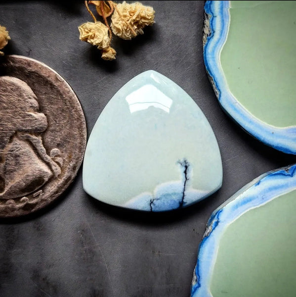 Natural Polychrome White River Trillion Cabochon