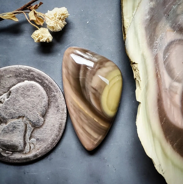 Royal Imperial Jasper Freeform Cabochon