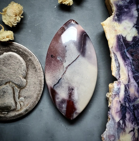 Sci-Fi Porcelain Jasper Marquise Cabochon