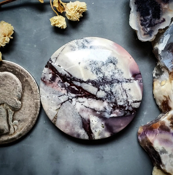 Sci-Fi Porcelain Jasper Round Cabochon