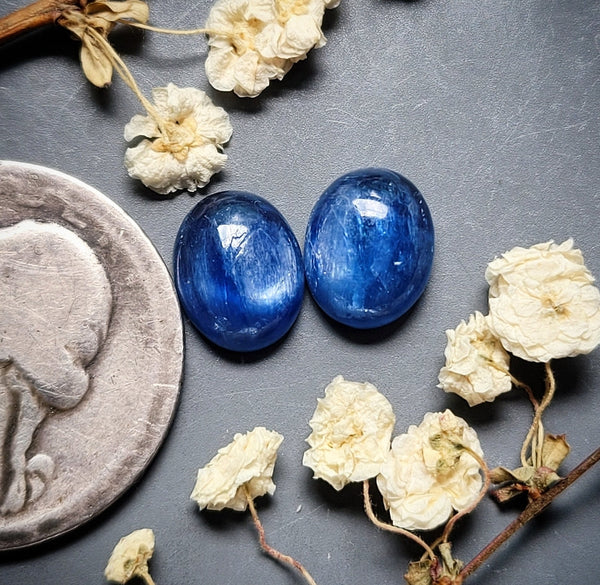 Kyanite Tiny Oval Earring Pair Cabochon