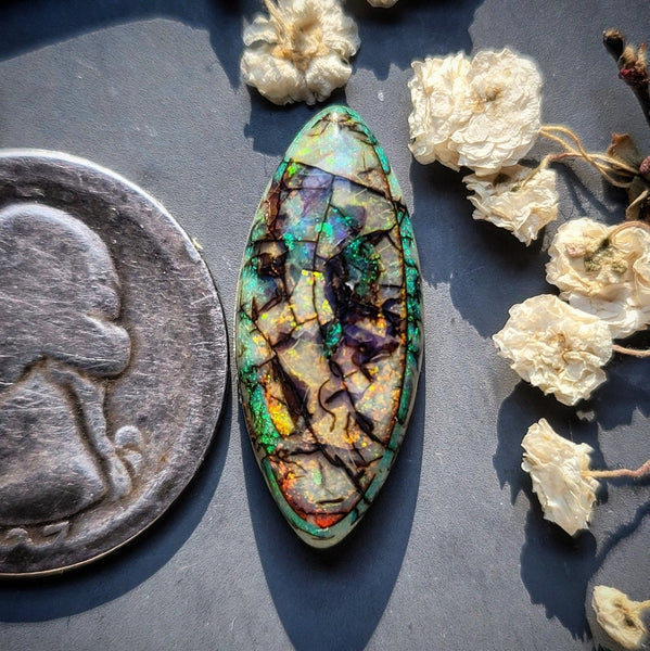 Monarch Opal Marquise Cabochon